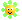 flower flower